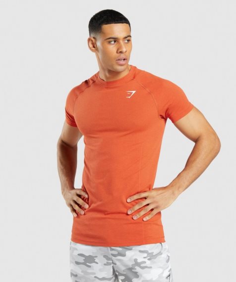 Men's Gymshark Vital Light Seamless T-Shirts Orange | CA 06AD3N